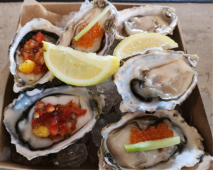 Fresh oysters 1